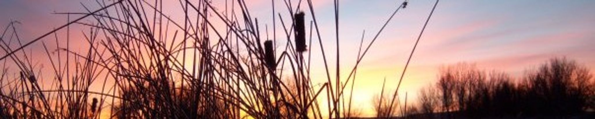 Cover for Robert Odell Imhoff's Obituary