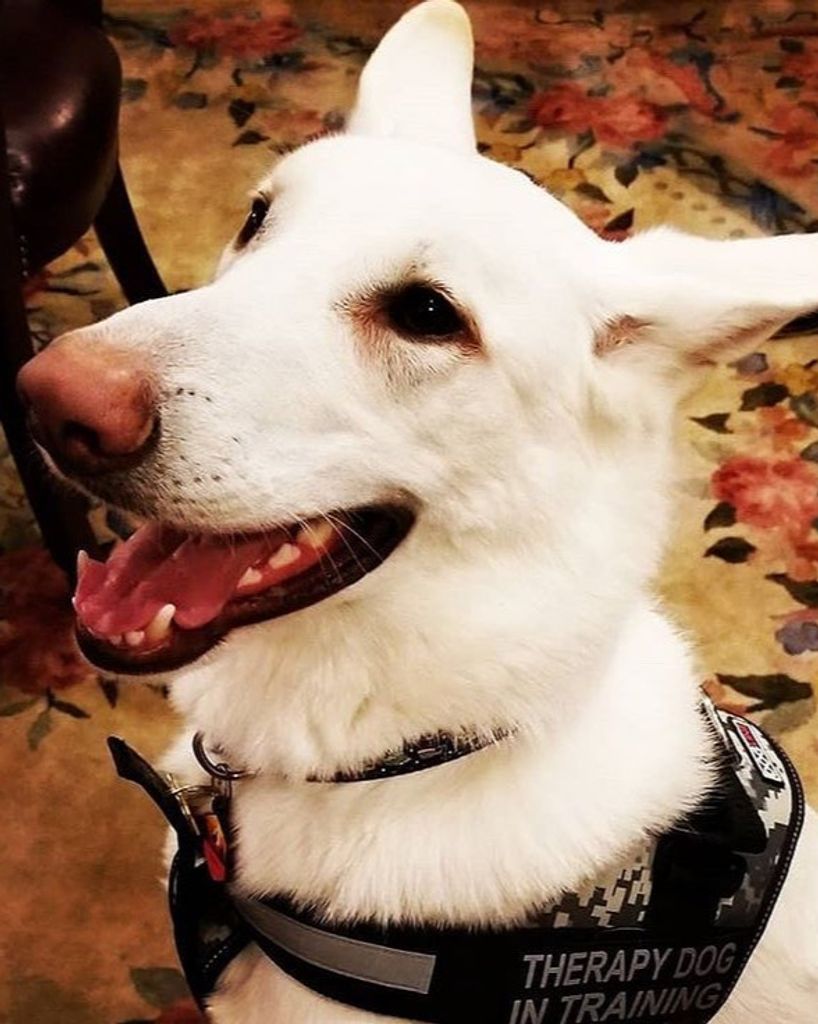 Aspen "Biggy" Calvey Profile Photo