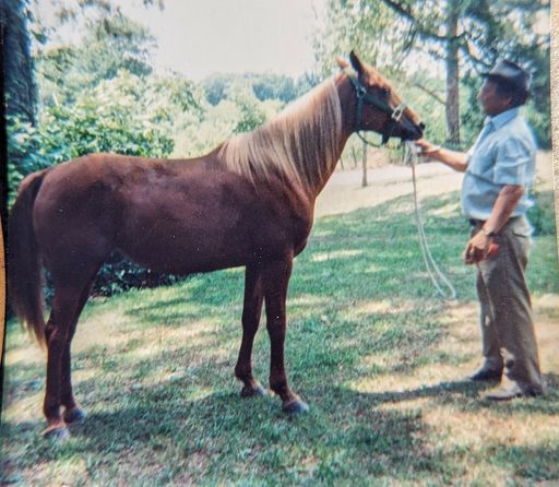Allen "Larry" Sharpe photo gallery thumbnail 57 of 71