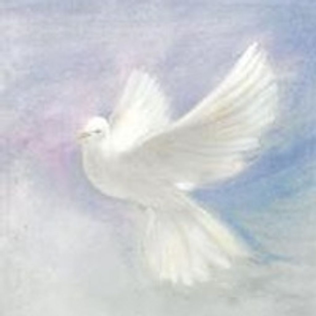 Denelda June Hoefker Profile Photo