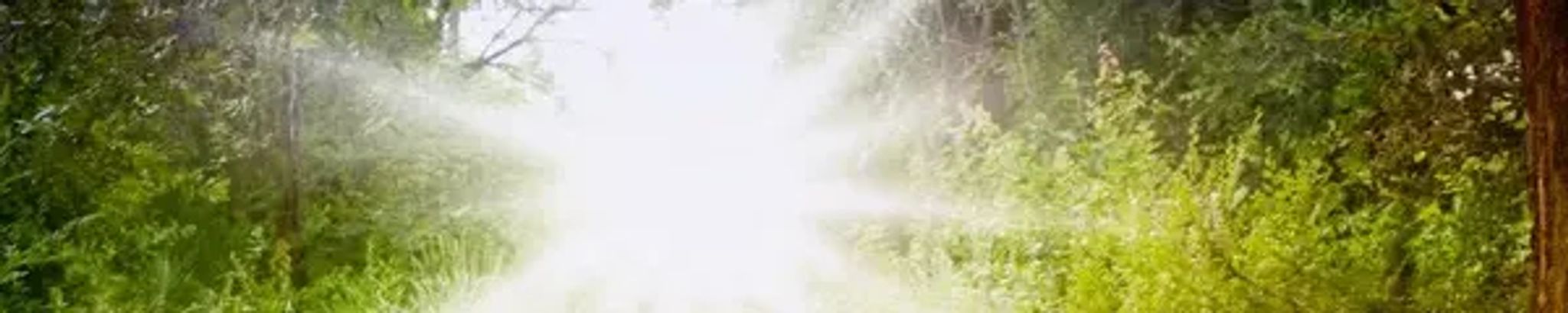 Cover photo for David Lloyd Smith's Obituary