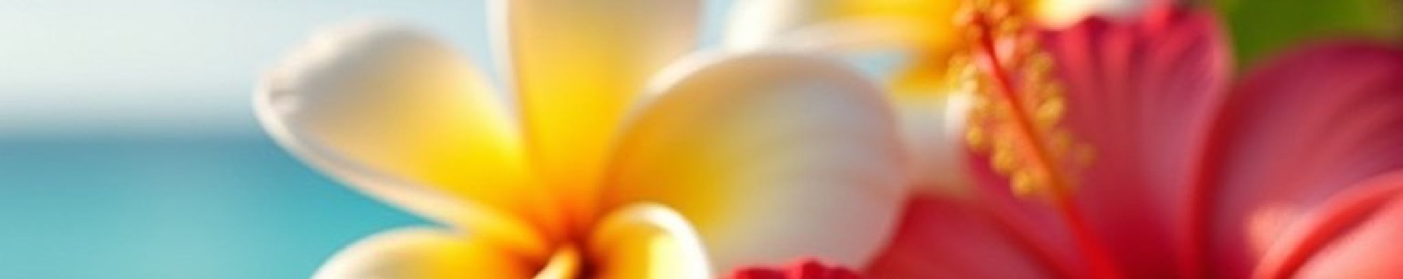 Cover photo for Ruth Suzuki's Obituary