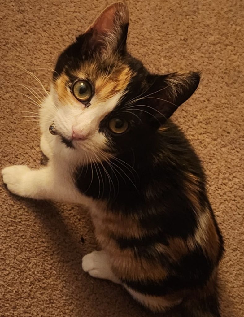 Ellie Weiland Profile Photo