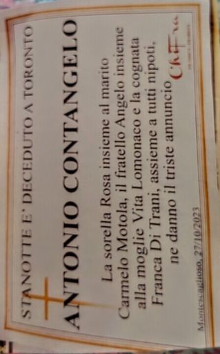 Antonio Contangelo photo gallery thumbnail 14 of 21