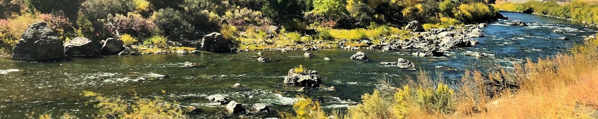 Cover for Allen Spencer Cavanaugh's Obituary