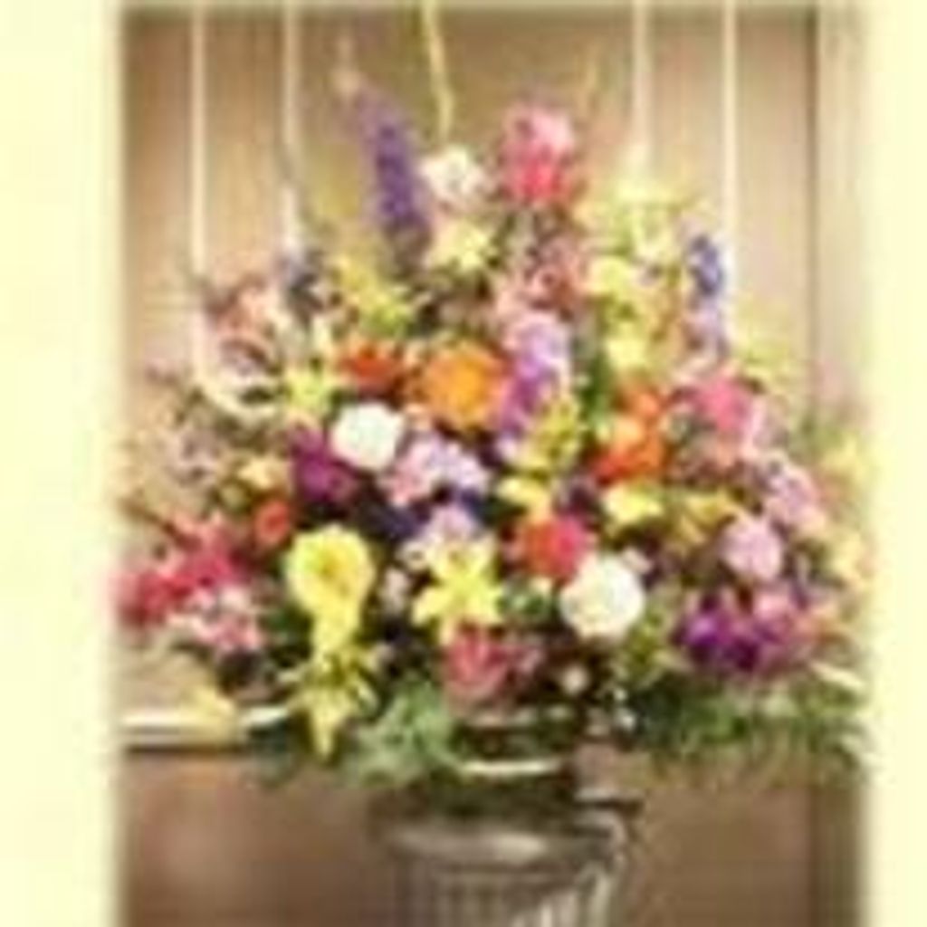 Vicki Danielson Profile Photo