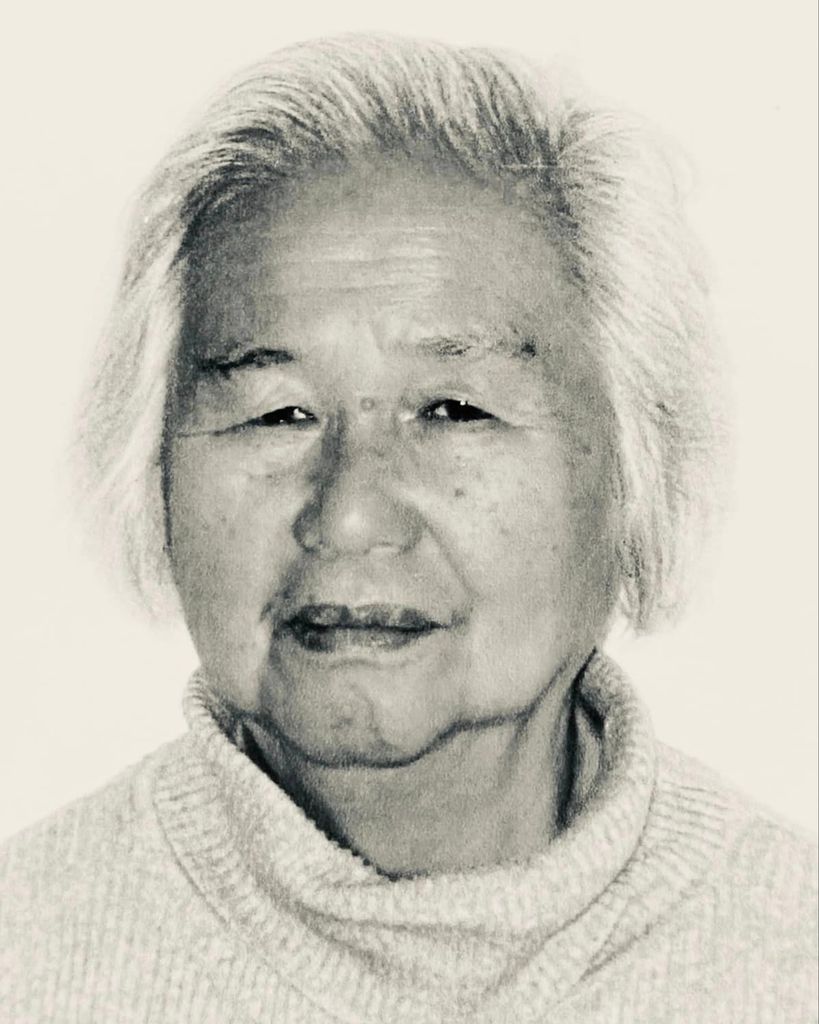 Shihui S. Fan