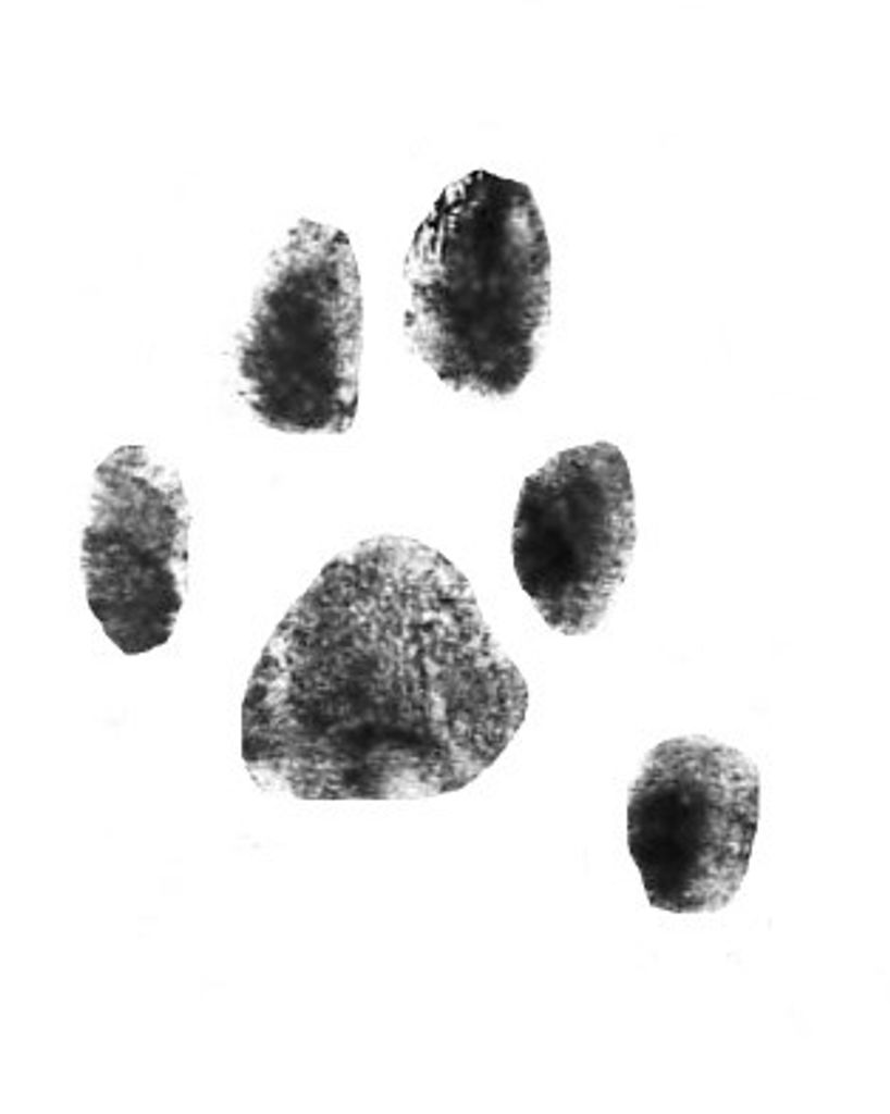 Katia Gardner Profile Photo