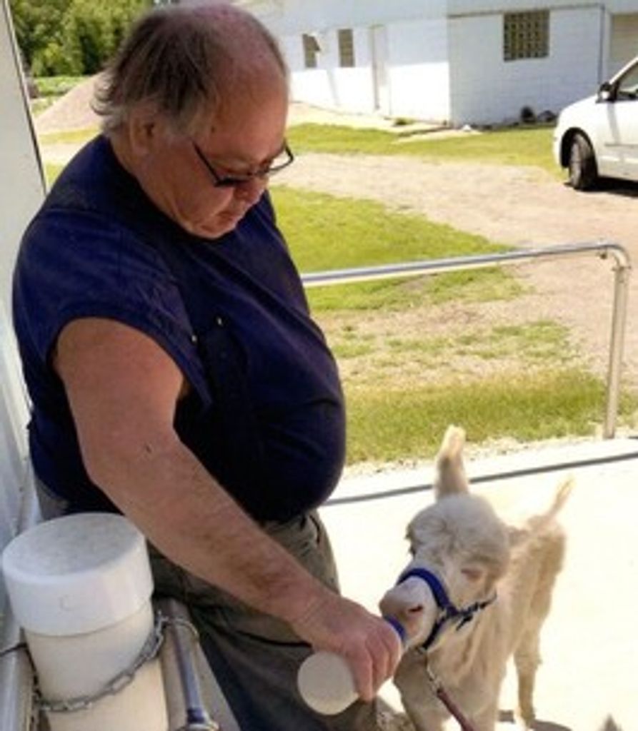 Roman Bauer Profile Photo