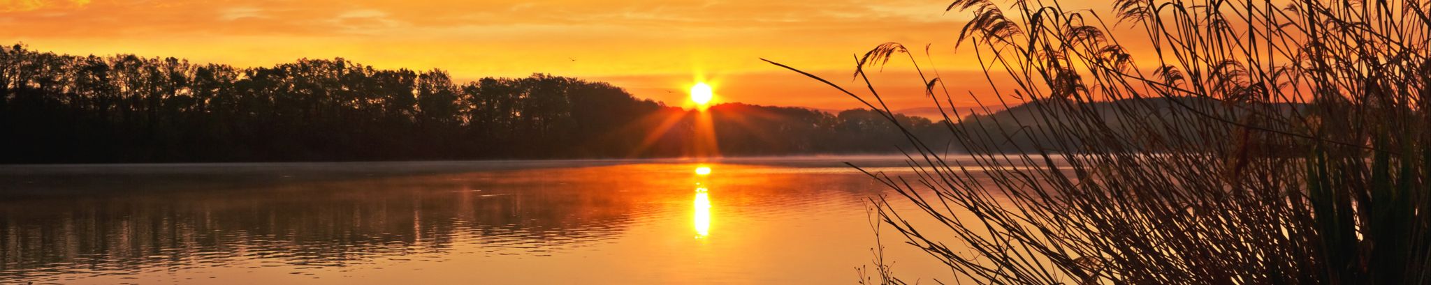 Cover for Edward Olek's Obituary