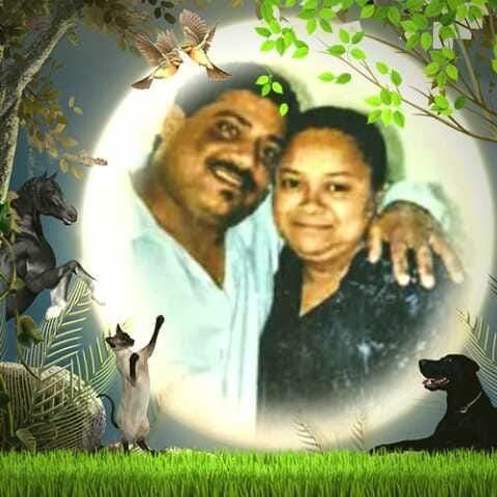 Jose R Cortes