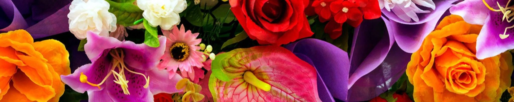 Cover photo for Rose Enquist's Obituary