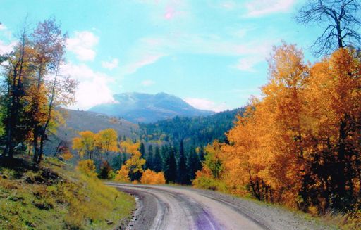 H. Reed Cammack photo gallery thumbnail 48 of 88