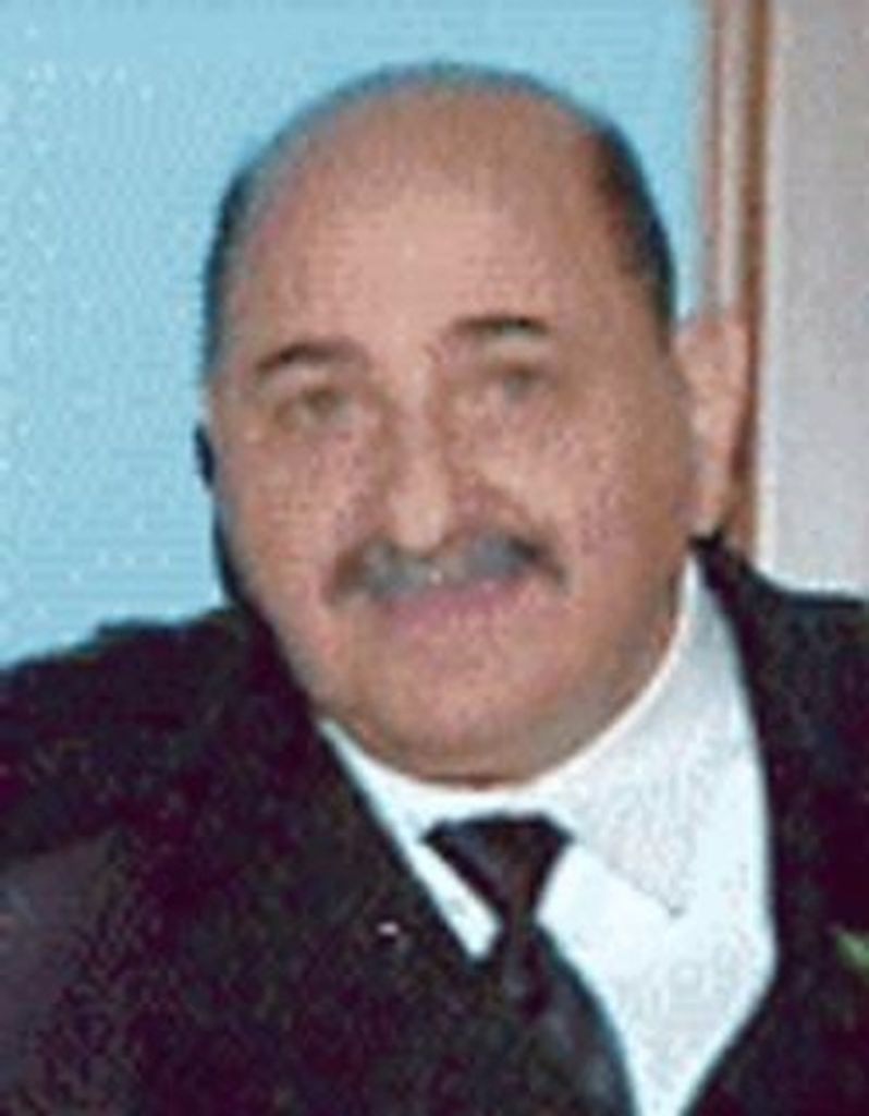 Dominic R. Petruzzelli Jr.