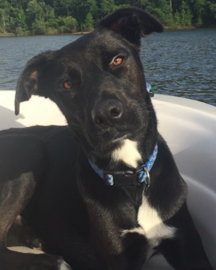 Koda Smith Profile Photo