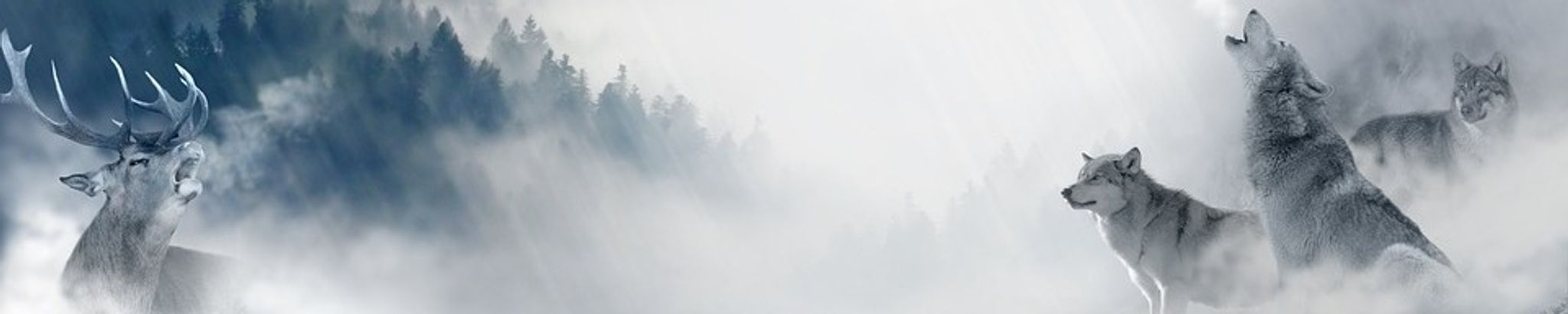 Cover photo for Terrance Gene Jackson's Obituary