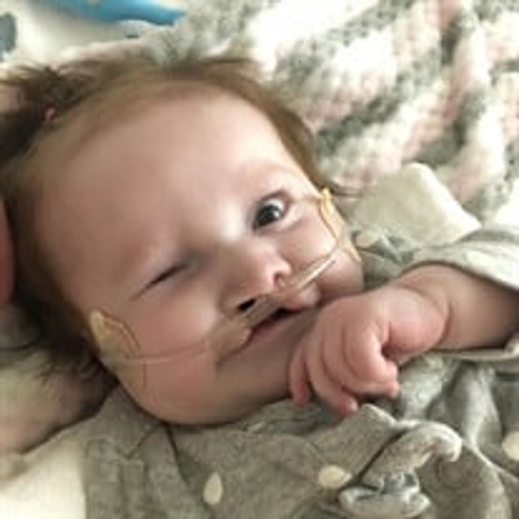 Haisley Anne Schilke