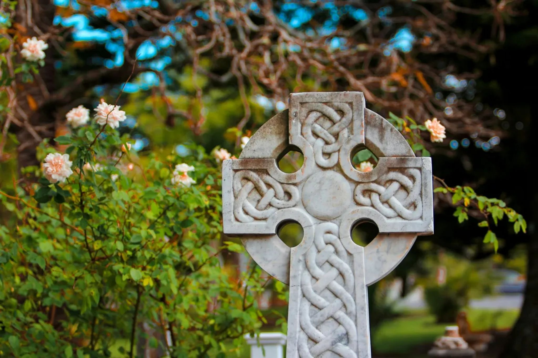 Cover for Robert Paul "Bob" Comstock's Obituary