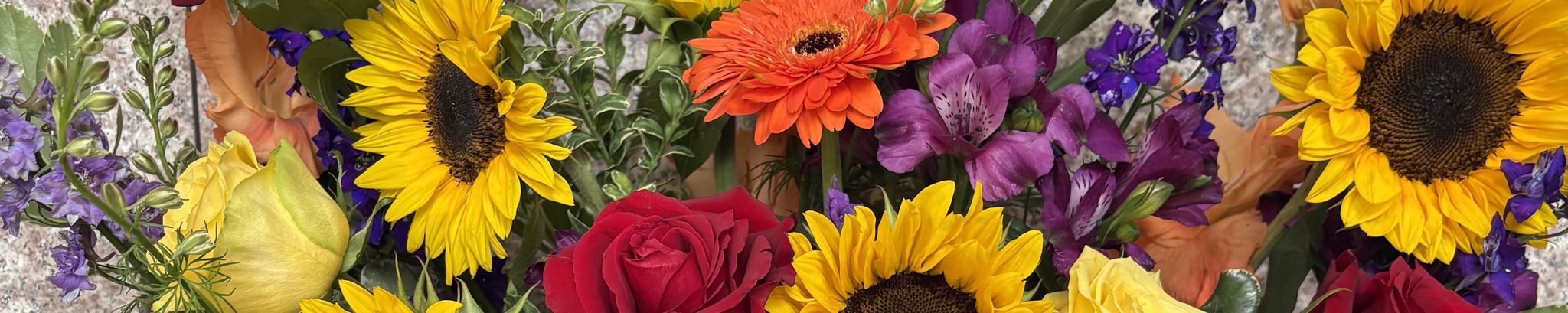 Cover photo for Jake Paolo Molaro's Obituary