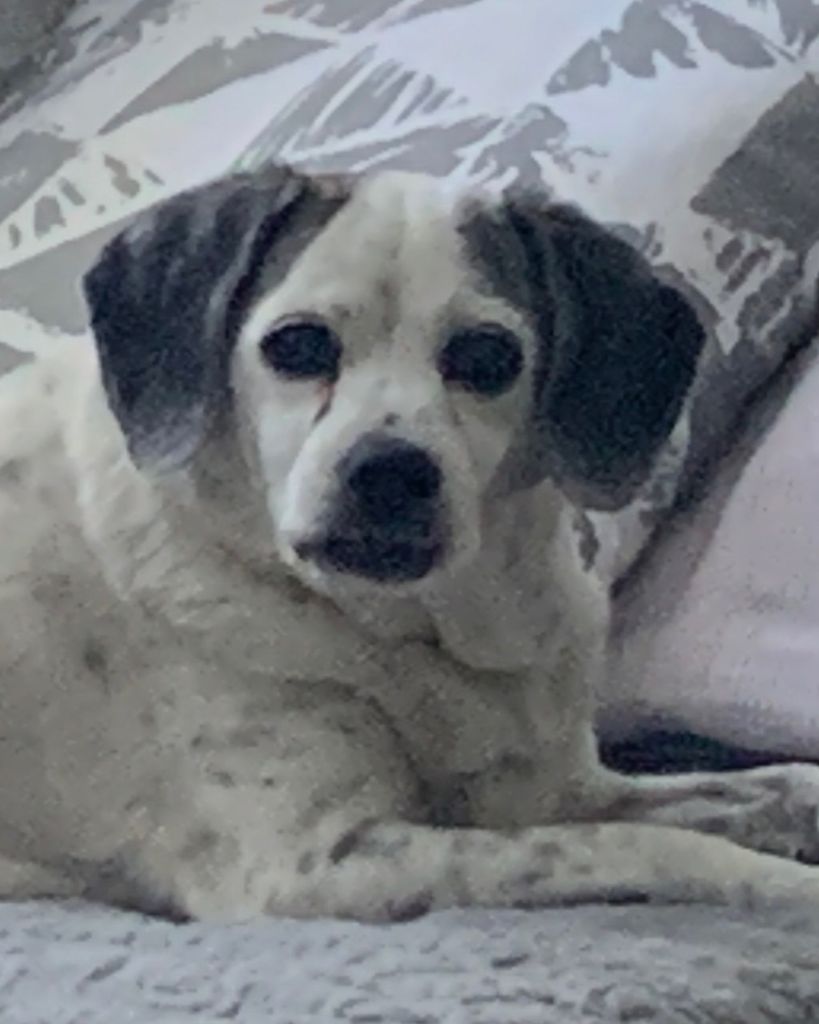 Freckles Stanfield Profile Photo