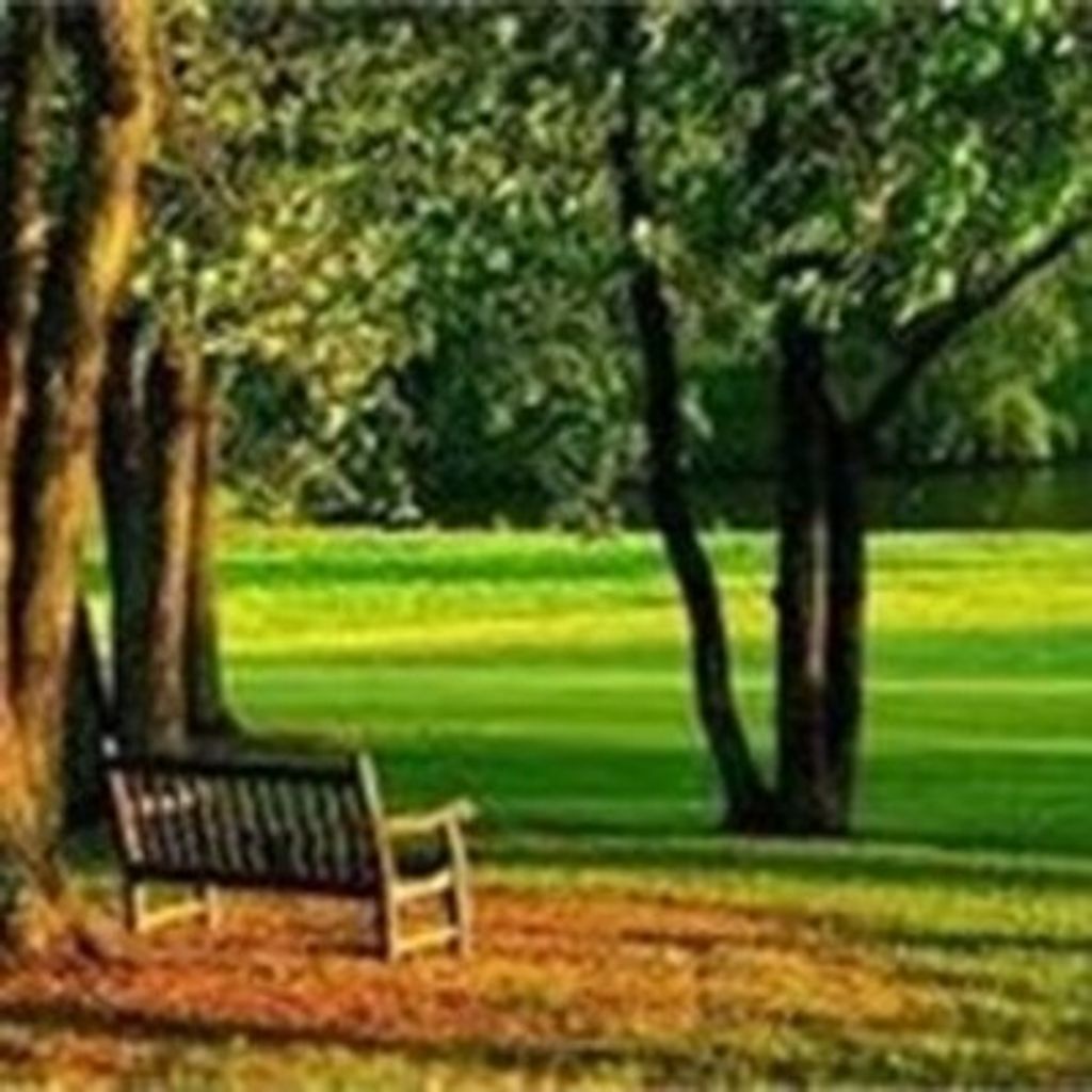 Harry Edward Coulter