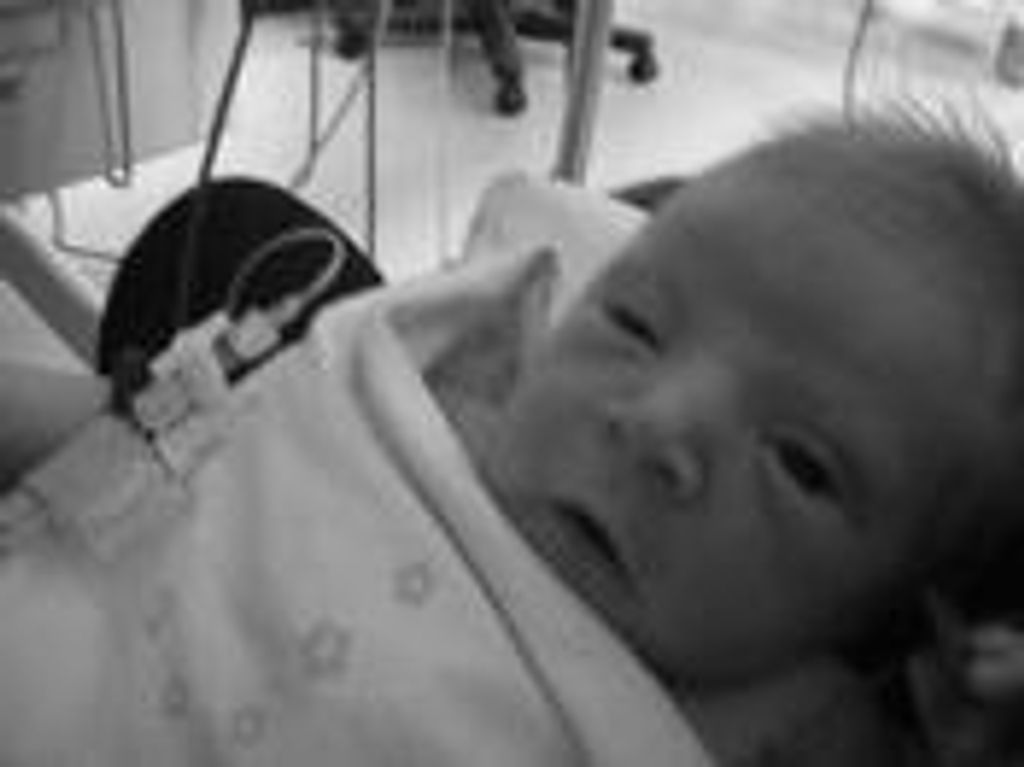 Parker Lee Shanks