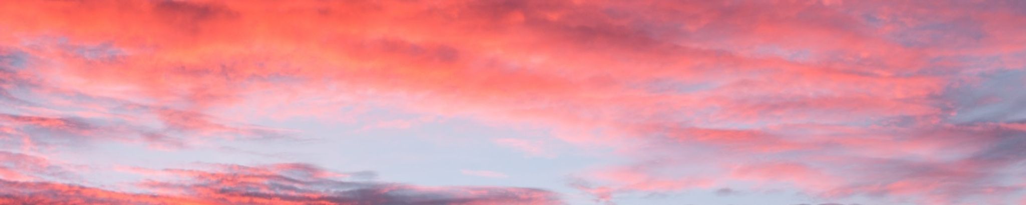 Cover photo for Teresa Pittman's Obituary