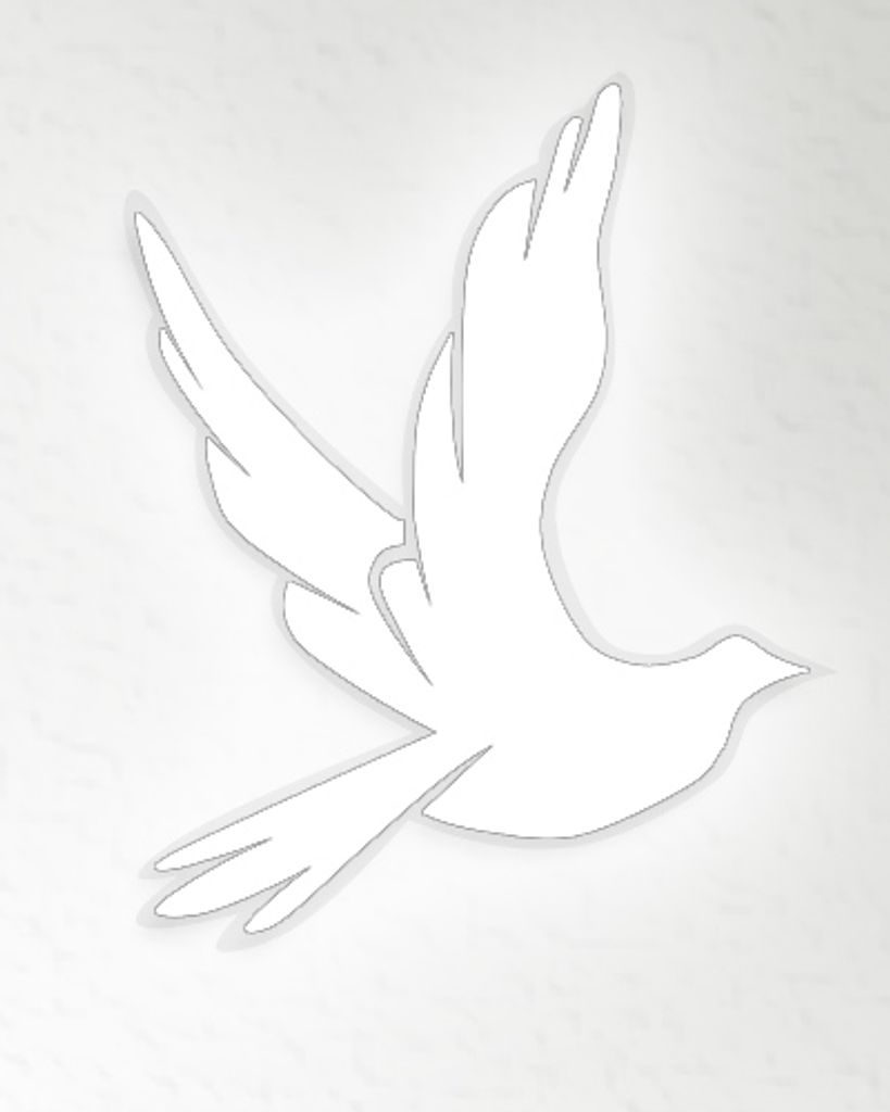Tracy Lollar Profile Photo