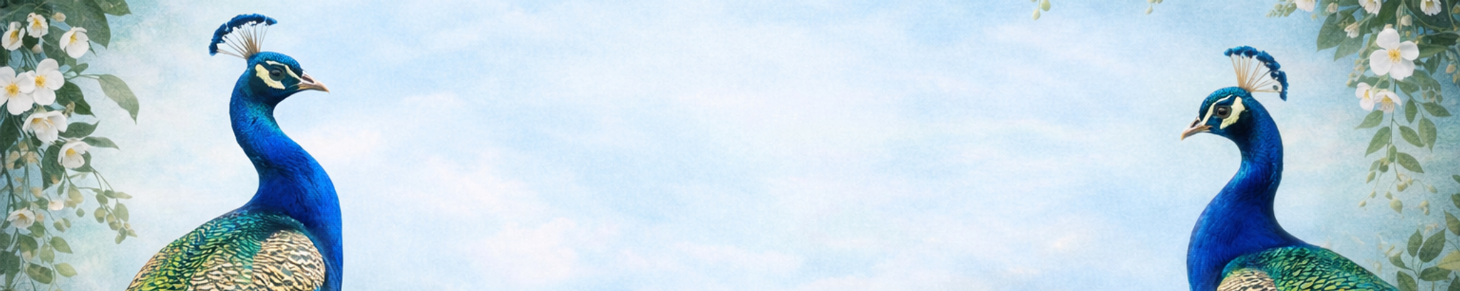 Cover for John Walton Collette, Jr.'s Obituary