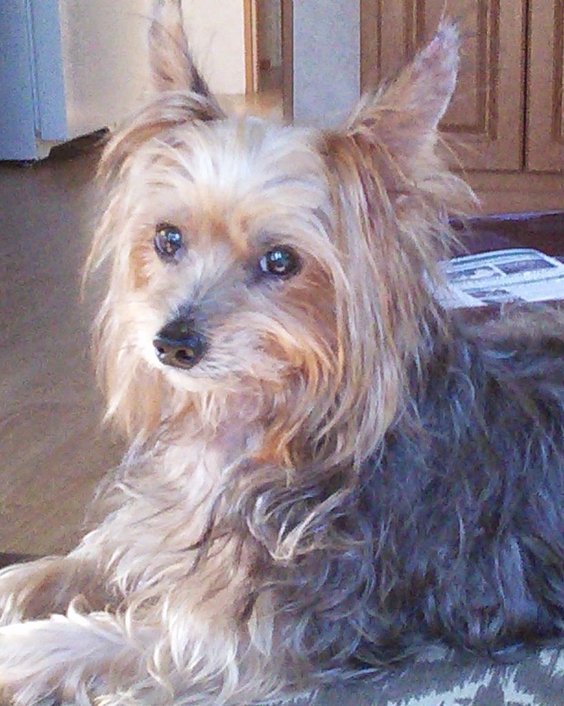 Jake Cooper Profile Photo