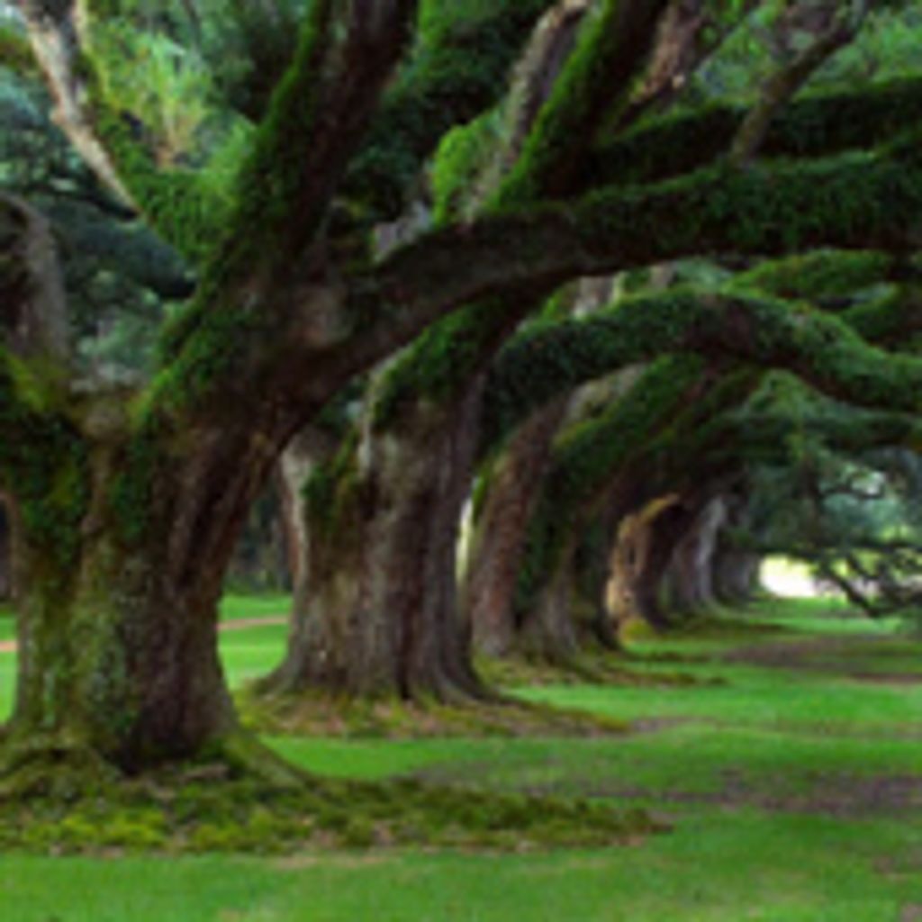 Robert E. Taunton Sr.