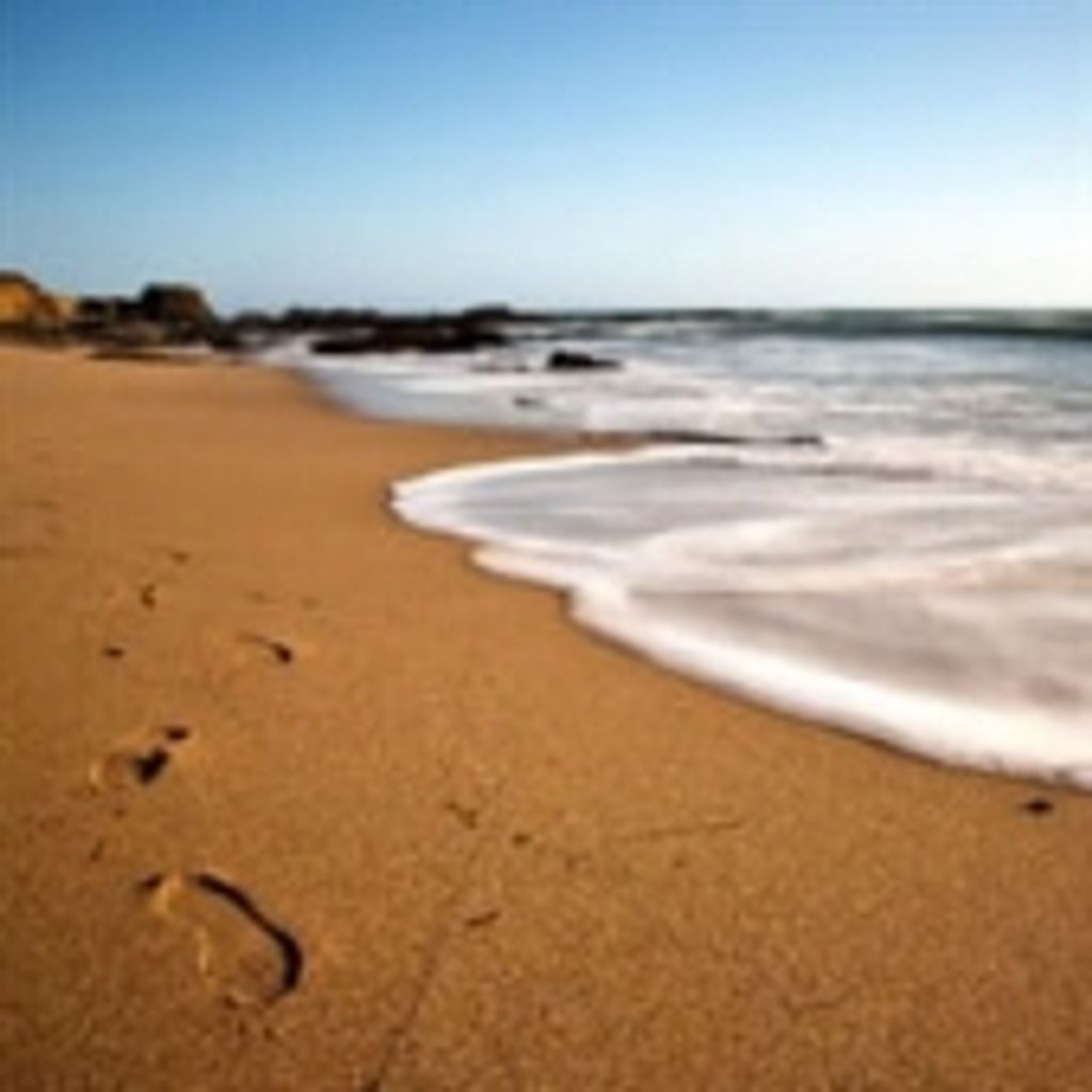 Hollis Robert Sunderland