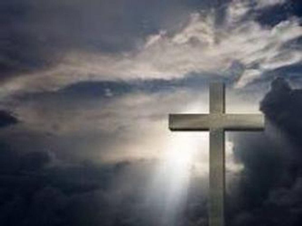 Dorothy Newman Profile Photo