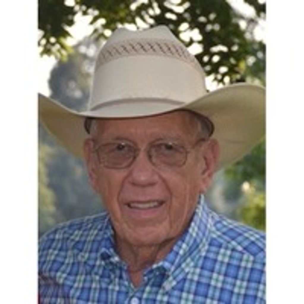 David Jennings Profile Photo
