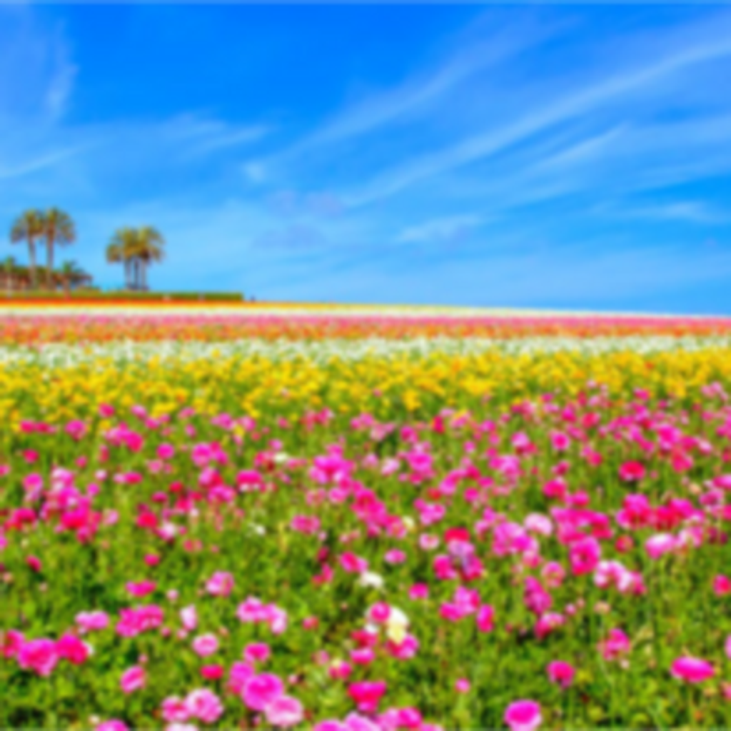 Janyce Laura Russell