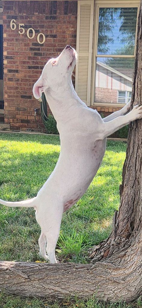Roxy Profile Photo