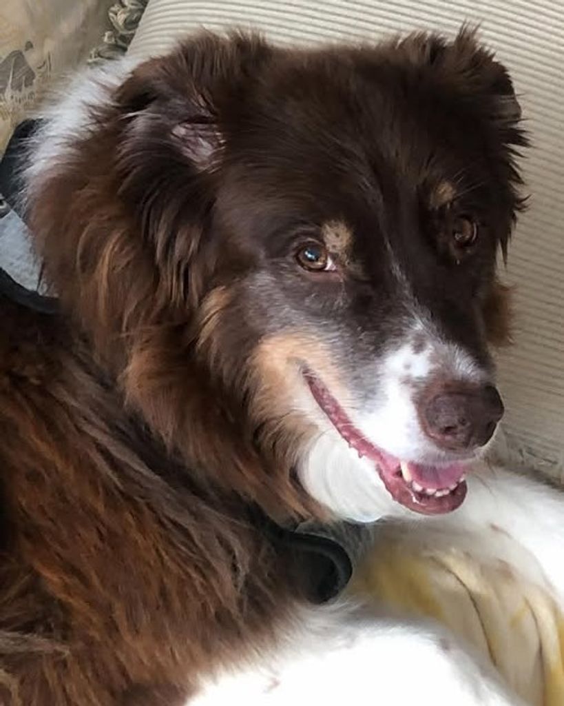 Roo Ruzbarsky Profile Photo