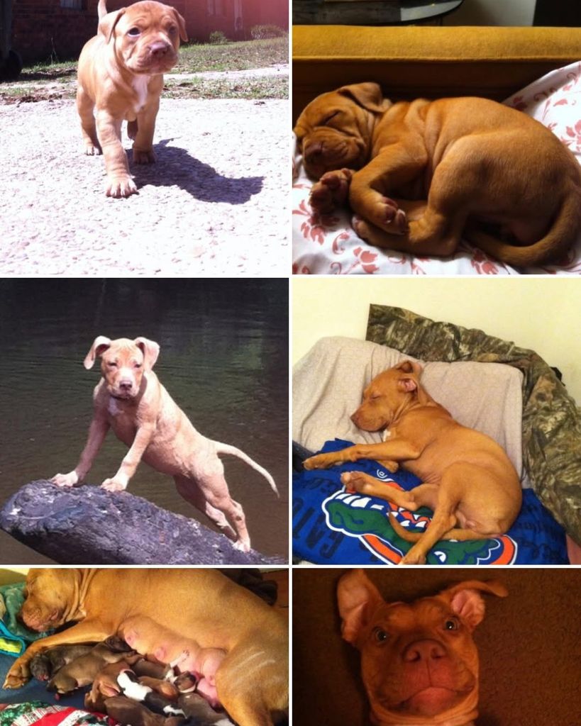 Sadie Rutherford Profile Photo