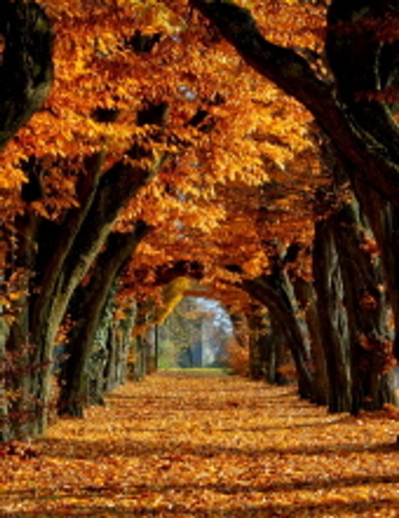 John S. Carpenter, Iii