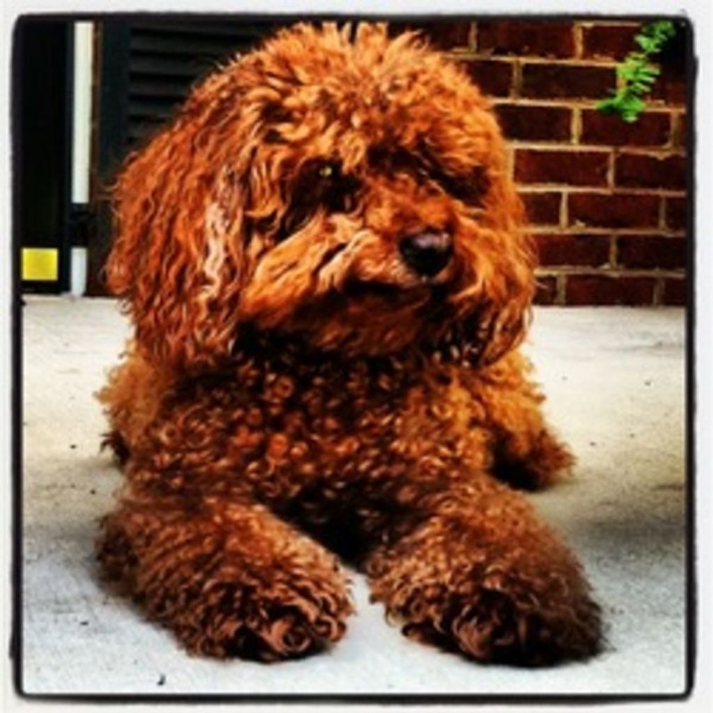Boo Bethune Profile Photo
