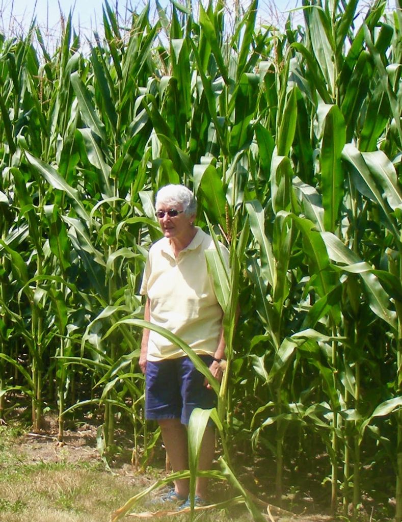 Susan June Gilbert Profile Photo