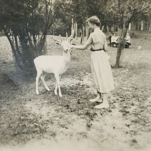 Joan E. Shaver photo gallery thumbnail 34 of 154