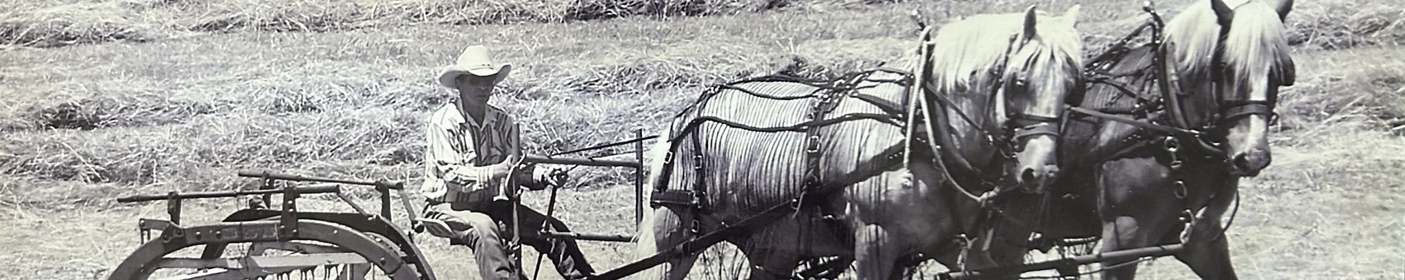 Cover for Kenny Pester's Obituary