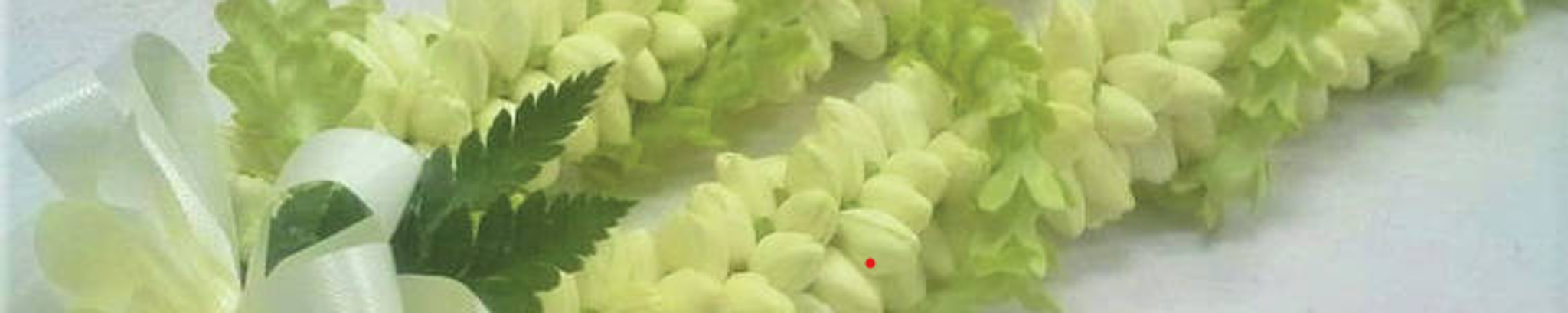 Cover for Ruth Kauionalani Marks-Faafiti's Obituary