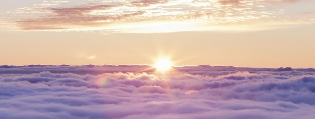 Cecelia Rose Hartsook