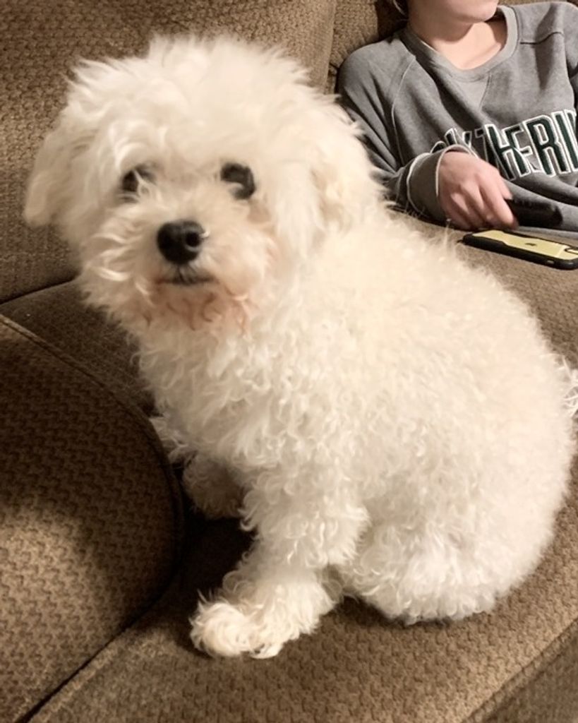 Lola Jean Vicars Profile Photo
