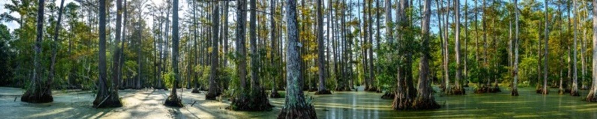 Cover for James Lee "TJ" Boverhof, Jr.'s Obituary