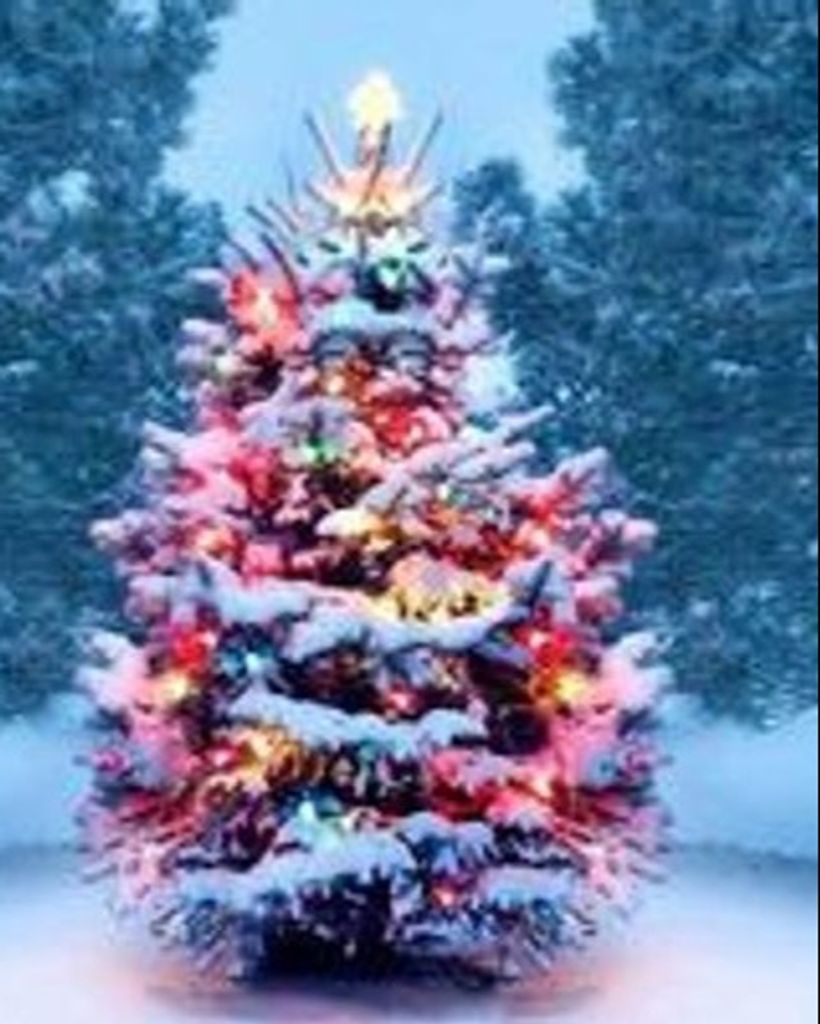 Memorial Tree Ornaments Welcome at Winter Wonderland at Slater Park Profile Photo