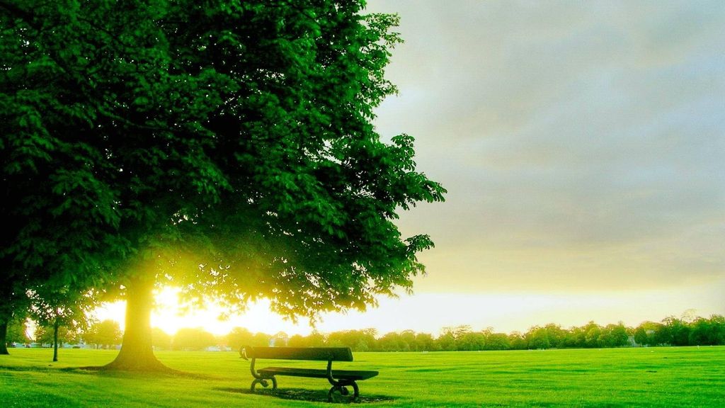 Brian Young Profile Photo