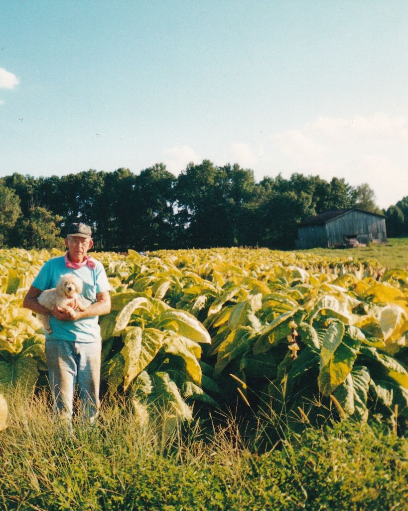 Willis Smith Profile Photo